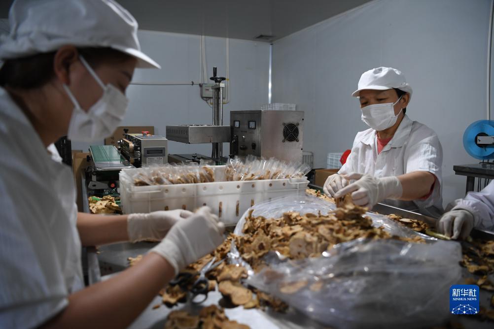 澳门游戏平台注册网站